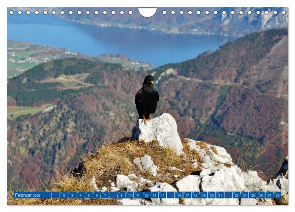 Produktbild: Der Berg und sein See (Wandkalender 2026 DIN A4 quer), CALVENDO Monatskalender