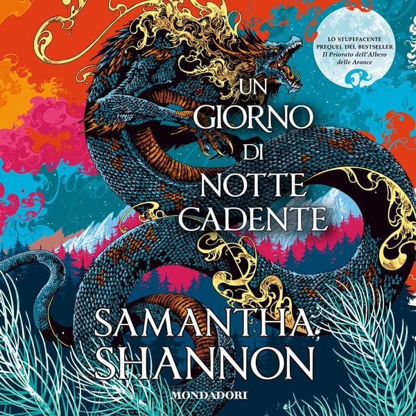 Produktbild: Un giorno di notte cadente