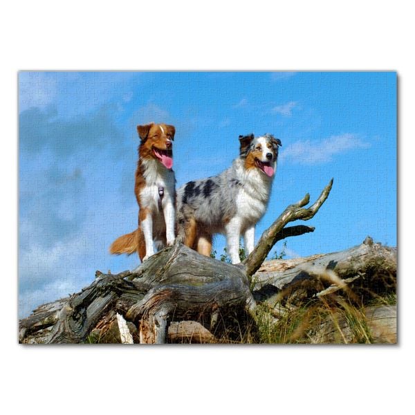 Produktbild: Lais Puzzle Australian Shepherd 1000 Teile