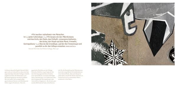 Produktbild: Hannah H&ouml;ch: Lebensbild