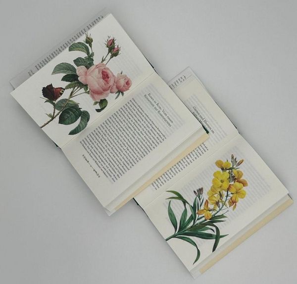 Produktbild: Tulpenwut und Rosenliebe