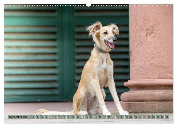 Produktbild: Elegante Silken Windsprite (Wandkalender 2026 DIN A2 quer), CALVENDO Monatskalender