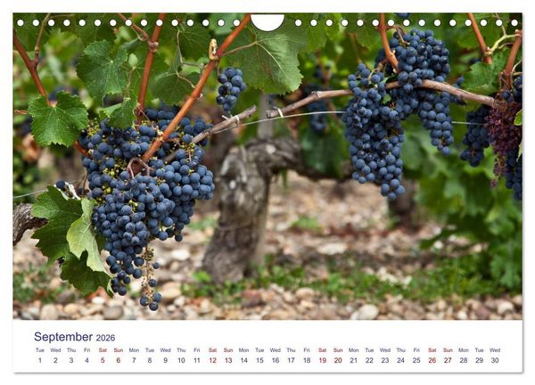 Produktbild: Arcachon Bay and the French Atlantic coast near Bordeaux (Wall Calendar 2026 DIN A4 landscape), CALVENDO 12 Month Wall Calendar