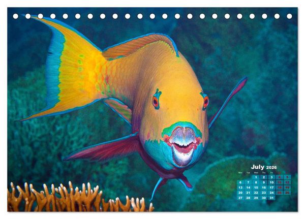 Produktbild: Oceans Alive - A World of Color and Diversity (Desk Calendar 2026 DIN A5 landscape), CALVENDO 12 Month DeskCalendar