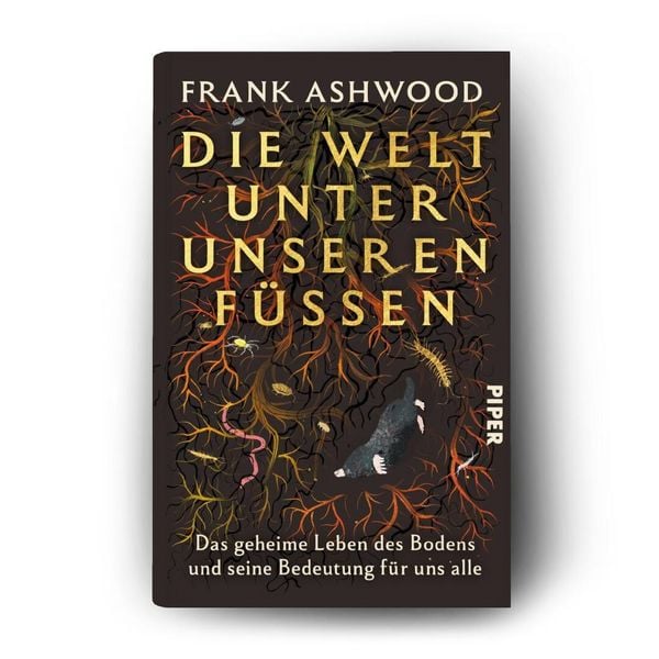 Produktbild: Die Welt unter unseren F&uuml;&szlig;en