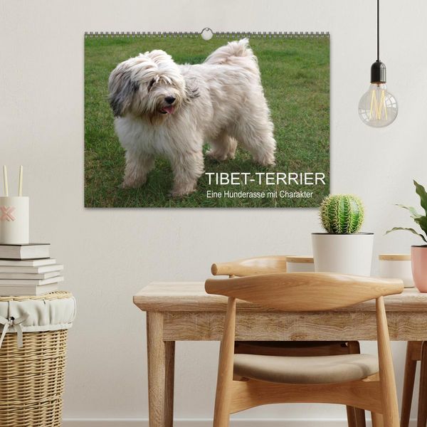 Produktbild: Tibet-Terrier - Eine Hunderasse mit Charakter (Wandkalender 2027 DIN A3 quer), CALVENDO Monatskalender