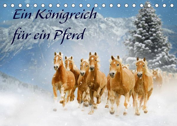 Ein Königreich für ein Pferd (Tischkalender 2023 DIN A5 quer)