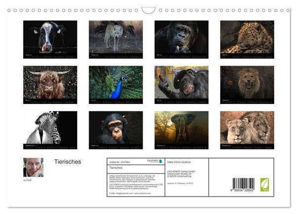 Produktbild: Tierisches (Wandkalender 2026 DIN A3 quer), CALVENDO Monatskalender