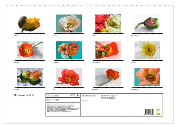 Produktbild: Mohn im Portr&auml;t (Wandkalender 2026 DIN A2 quer), CALVENDO Monatskalender