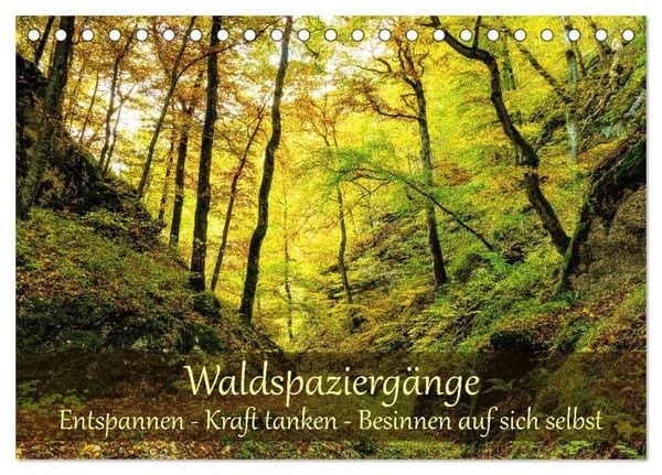 Produktbild: Waldspazierg&auml;nge: Entspannen - Kraft tanken - Besinnen auf sich selbst (Tischkalender 2027 DIN A5 quer), CALVENDO Monatskalender