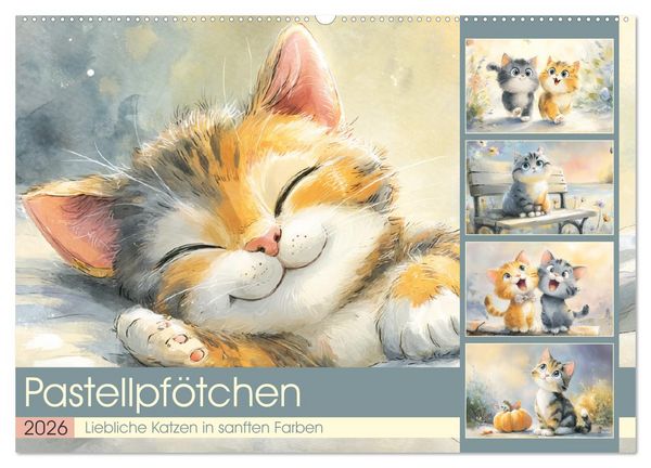 Pastellpfötchen. Liebliche Katzen in sanften Farben (Wandkalender 2026 DIN A2 quer), CALVENDO Monatskalender