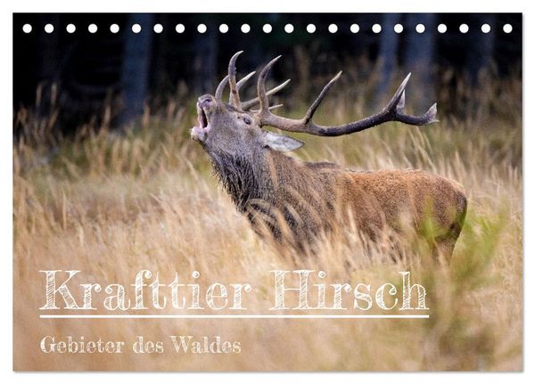 Krafttier Hirsch (Tischkalender 2026 DIN A5 quer), CALVENDO Monatskalender