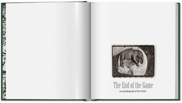 Produktbild: Peter Beard