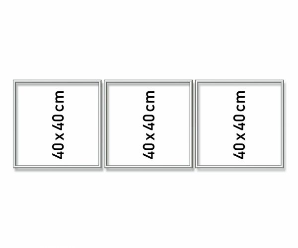 Produktbild: MNZ - Alurahmen Tripty. Silber 120x40 cm