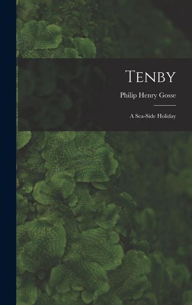 Produktbild: Tenby: A Sea-Side Holiday