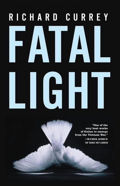 Produktbild: Fatal Light
