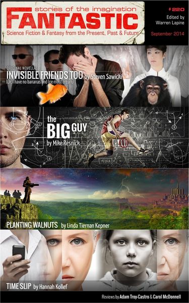 Produktbild: Fantastic Stories of the Imagination #220