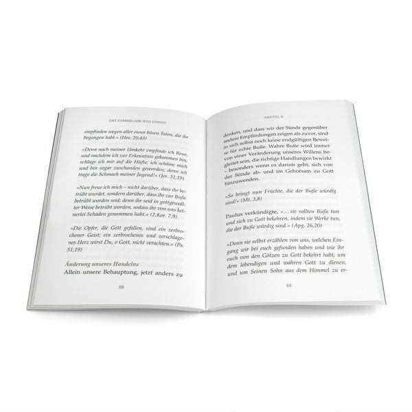 Produktbild: Das Evangelium Jesu Christi