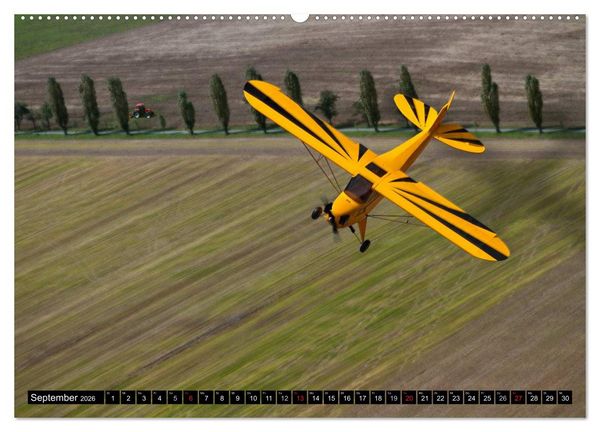 Produktbild: Modellflugzeuge Nr. 1 / 2026 (Wandkalender 2026 DIN A2 quer), CALVENDO Monatskalender
