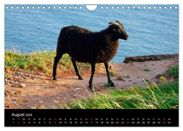 Produktbild: Hochseeeinsel Helgoland (Wandkalender 2026 DIN A4 quer), CALVENDO Monatskalender