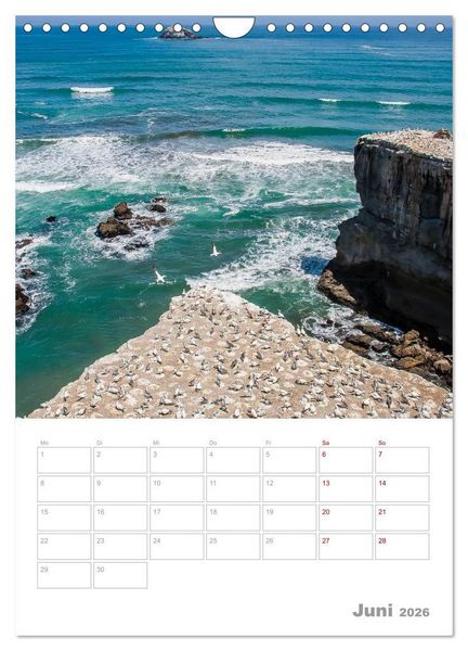 Produktbild: Kalenderplaner g'day Neuseeland 2026 (Wandkalender 2026 DIN A4 hoch), CALVENDO Monatskalender