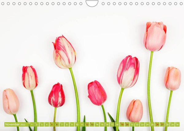 Produktbild: Tulpen f&uuml;r das ganze Jahr (Wandkalender 2022 DIN A4 quer)