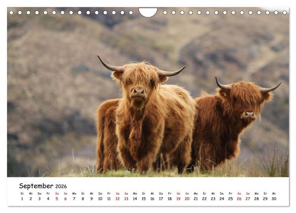 Produktbild: Schottland - Das Land mit rauem Charme (Wandkalender 2026 DIN A4 quer), CALVENDO Monatskalender