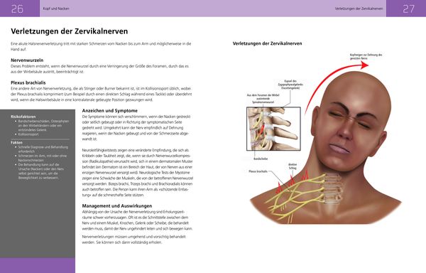 Produktbild: Die Anatomie der Sportverletzungen