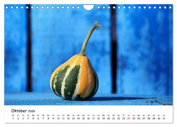 Produktbild: Eine Reise ins magische Donaudelta (Wandkalender 2026 DIN A4 quer), CALVENDO Monatskalender