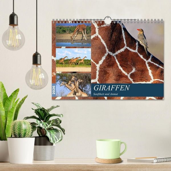 Produktbild: Giraffen - Sanftheit und Anmut (Wandkalender 2026 DIN A4 quer), CALVENDO Monatskalender