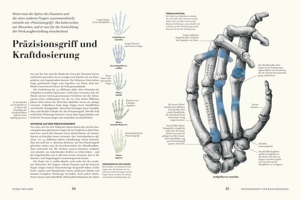 Produktbild: HUMANS. Der Mensch