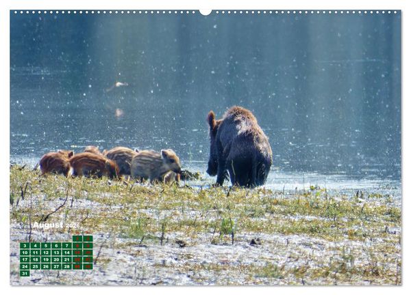 Produktbild: Herrliches Arno Tal - Wanderurlaub in der Toskana (Wandkalender 2026 DIN A2 quer), CALVENDO Monatskalender