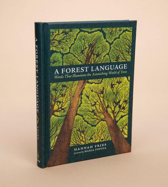 Produktbild: A Forest Language