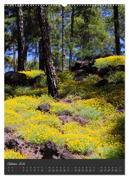 Produktbild: TENERIFFA (Wandkalender 2026 DIN A2 hoch), CALVENDO Monatskalender