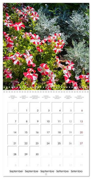 Produktbild: Harmonie Florale Des Pr&eacute;s aux Villes (Calendrier mural carr&eacute; 2026 30x30 cm) Calendrier double avec une page pour vos prises de notes