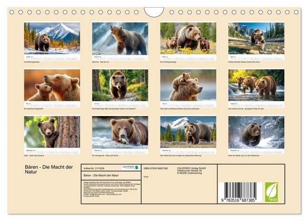 Produktbild: B&auml;ren - Die Macht der Natur (Wandkalender 2026 DIN A4 quer), CALVENDO Monatskalender