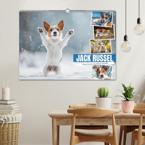 Produktbild: JACK RUSSEL - Kleine Hunde mit gro&szlig;em Charakter (Wandkalender 2026 DIN A2 quer), CALVENDO Monatskalender