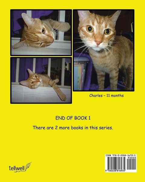 Produktbild: The Adventures of Charles The Cat With The Question Mark Tail