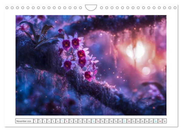 Produktbild: Zwischen Natur und Kunst (Wandkalender 2026 DIN A4 quer), CALVENDO Monatskalender