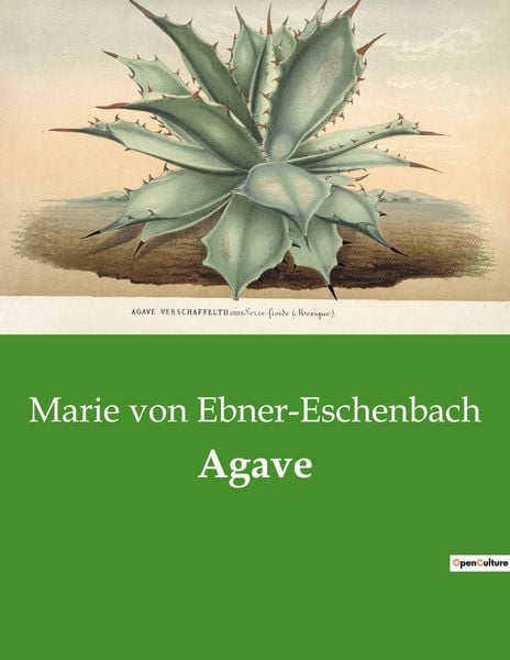 Produktbild: Agave