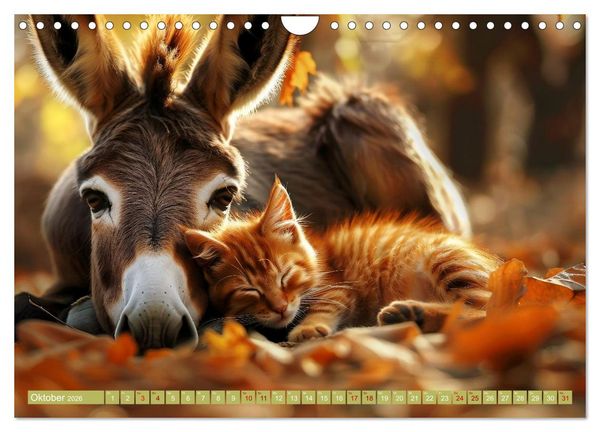 Produktbild: Wenn Vertrauen siegt (Wandkalender 2026 DIN A4 quer), CALVENDO Monatskalender