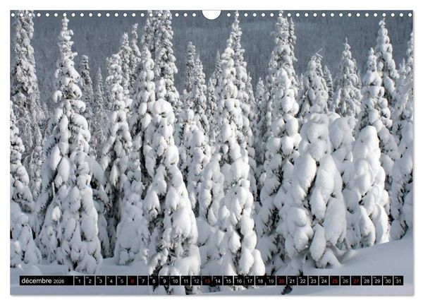 Produktbild: GASP&Eacute;SIE. Parc National du Qu&eacute;bec (Calendrier mural 2026 DIN A3 vertical), CALVENDO calendrier mensuel