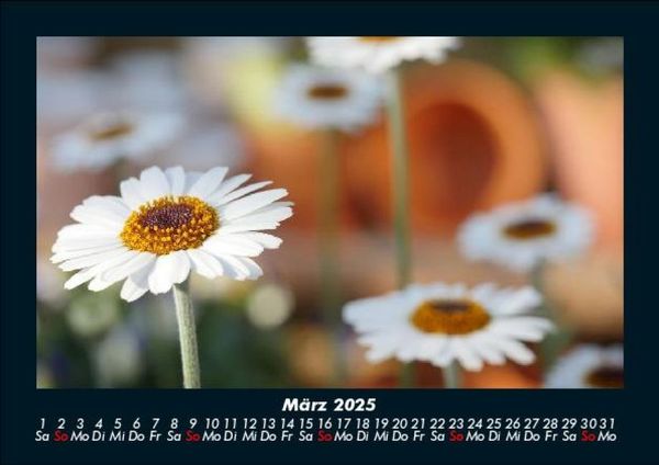 Produktbild: Blumenkalender 2025 Fotokalender DIN A5