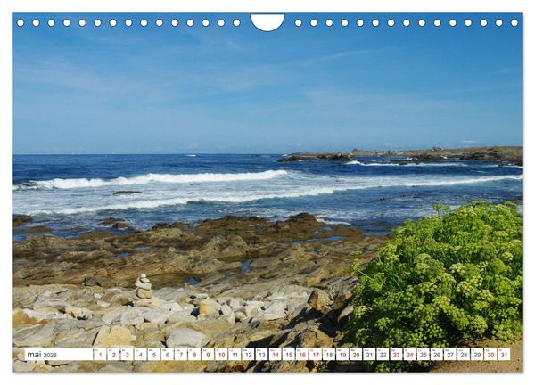 Produktbild: Quiberon C&ocirc;t&eacute; sauvage (Calendrier mural 2026 DIN A4 vertical), CALVENDO calendrier mensuel