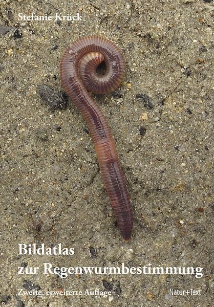 Bildatlas der Regenwurmbestimmung, Gebundene Ausgabe von Stefanie Krück, Natur & Text, 978-3-942062-67-1