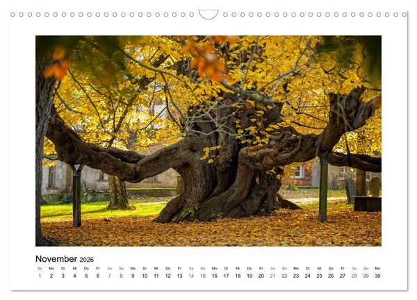 Produktbild: Impressionen aus Ostwestfalen-Lippe (Wandkalender 2026 DIN A3 quer), CALVENDO Monatskalender