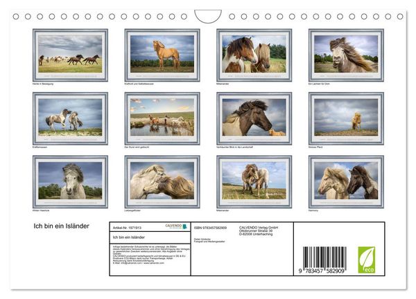 Produktbild: Ich bin ein Isl&auml;nder (Wandkalender 2026 DIN A4 quer), CALVENDO Monatskalender