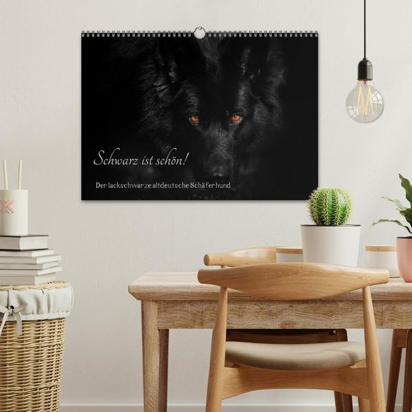 Produktbild: Schwarz ist sch&ouml;n! Der lackschwarze altdeutsche Sch&auml;ferhund (Wandkalender 2026 DIN A3 quer), CALVENDO Monatskalender