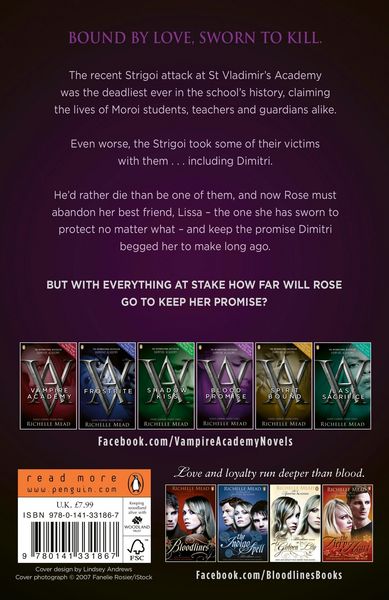 Produktbild: Vampire Academy: Blood Promise (book 4)