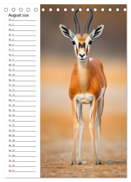 Produktbild: Ganz von vorn (Tischkalender 2026 DIN A5 hoch), CALVENDO Monatskalender